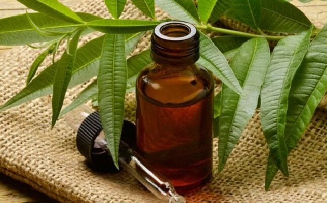 Tea tree oil - a popular remedy for getting rid of warts on the penis